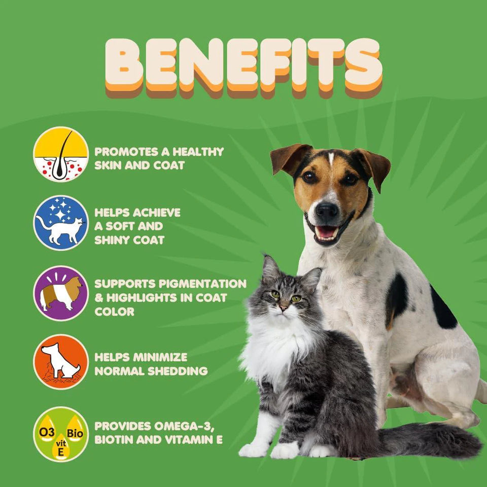 Skin and Coat Supplement for Pets