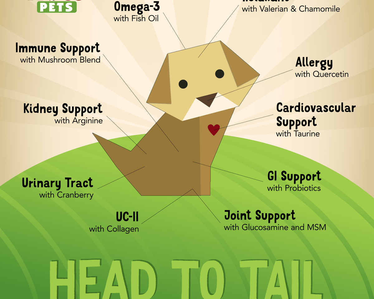 L-Lysine Powder Supplement for Cats - NASC Certified - 8 oz - Supports Pet Health
