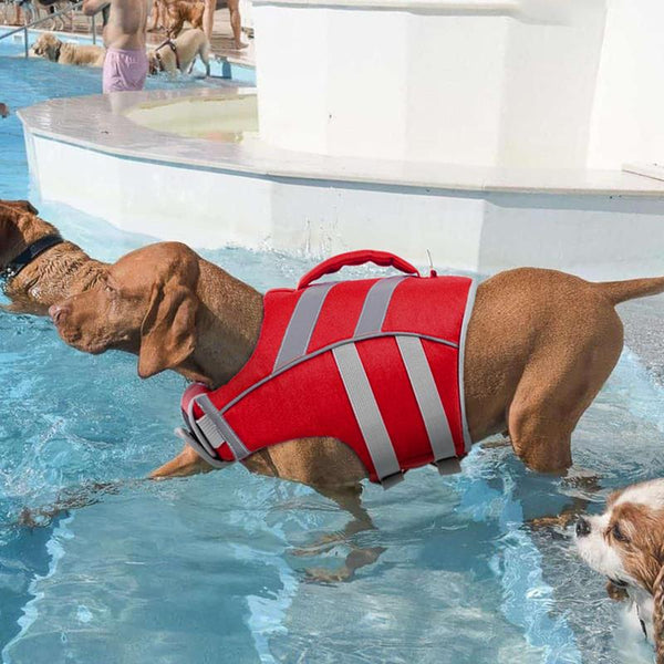 Kuoser High-Visibility Dog Life Jacket - Adjustable, Lightweight, and Reflective for Ultimate Safety and Floatation