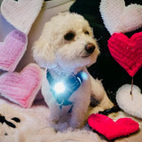 Canine Headlight Harness