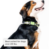 Twist & Go Pet Collars Camo/Small-Medium