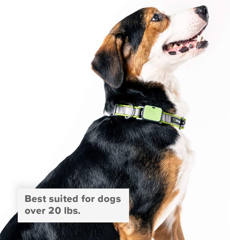 Twist & Go Pet Collars Camo/Small-Medium