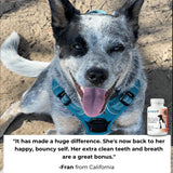 1-TDC Oral Health & Joint Mobility Support for Happy, Active Dogs