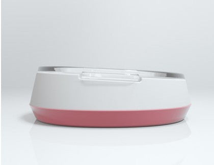 Pet glass bowl
