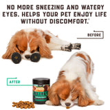 All-Natural Dog Allergy Chews with Omega Probiotics & Apple Cider Vinegar - 180 Chews for Happy, Healthy Pets!
