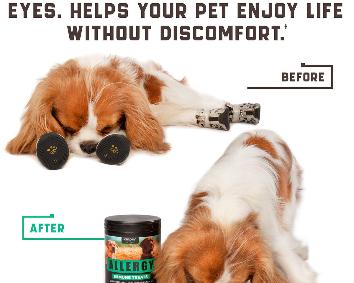 All-Natural Dog Allergy Chews with Omega Probiotics & Apple Cider Vinegar - 180 Chews for Happy, Healthy Pets!