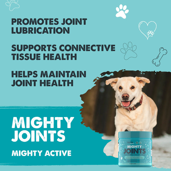 Waggables Hip & Joint Chews for Dogs - Vet-Formulated Glucosamine, Chondroitin & MSM Supplement for Enhanced Mobility - 120 Count
