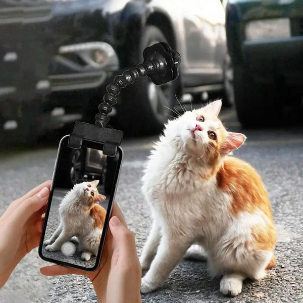 Pet Photography Tool Cat
