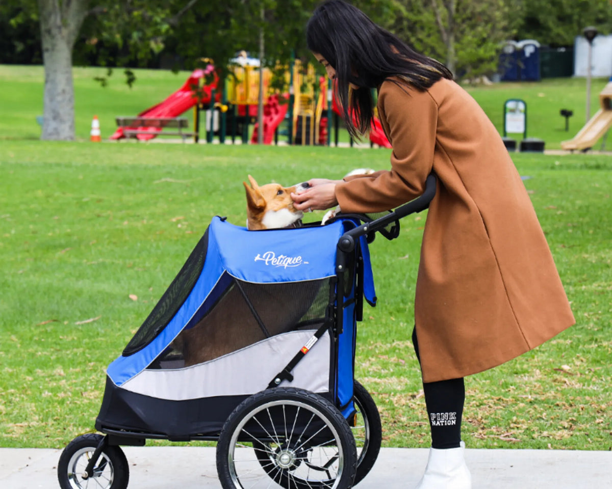 Trailblazer Pet Jogger