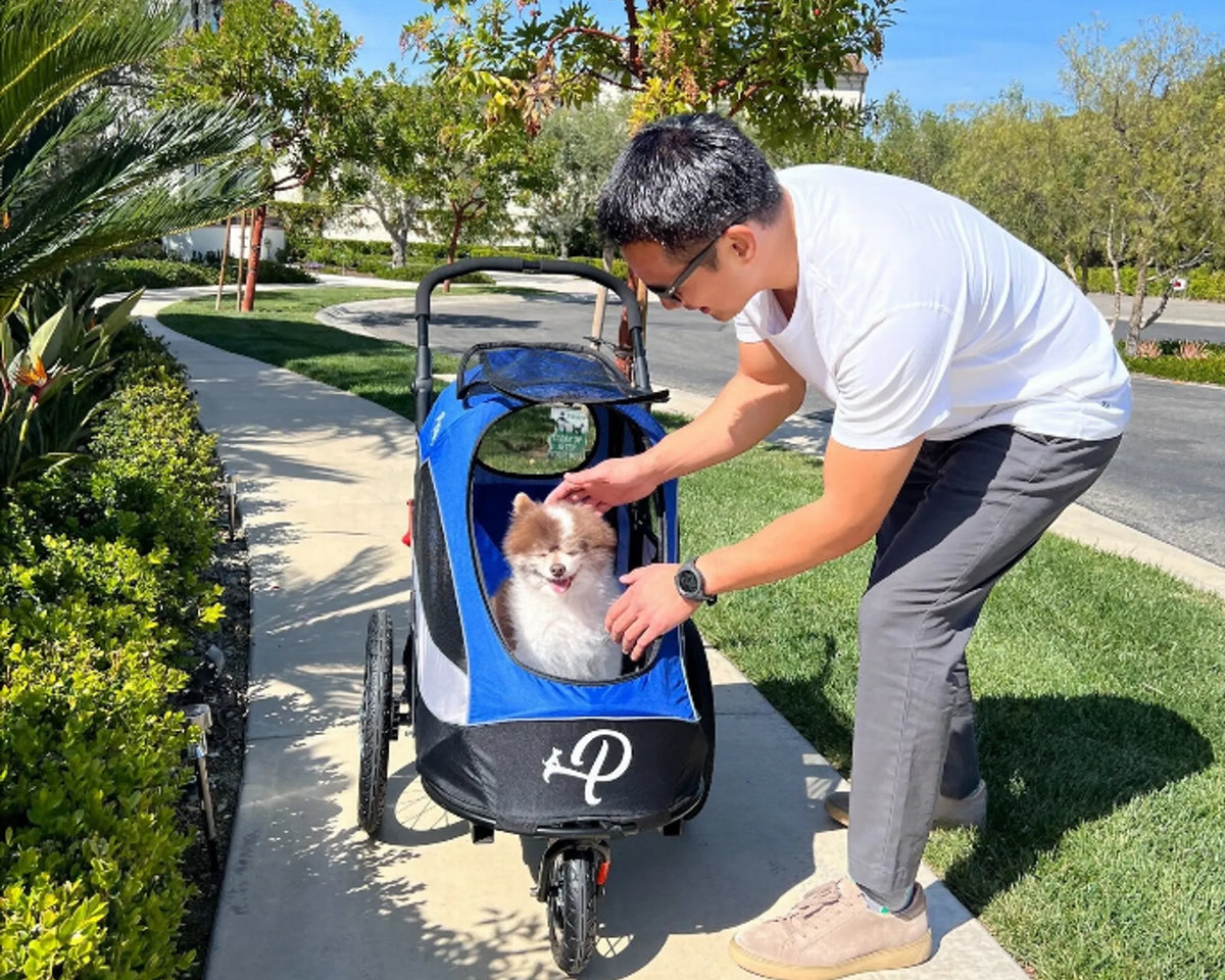 Trailblazer Pet Jogger