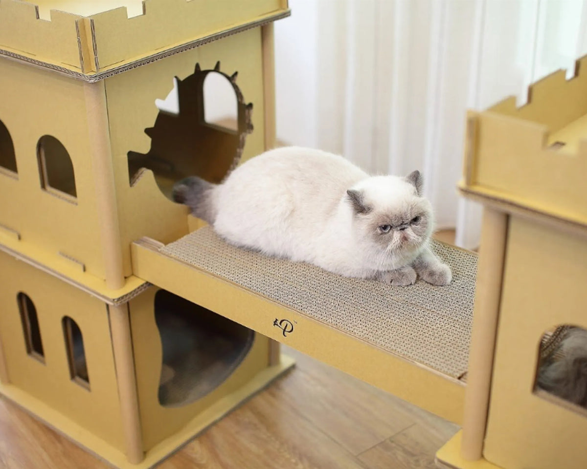 London Bridge Cat House