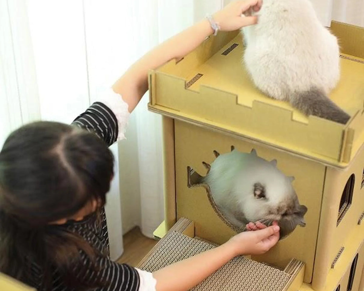 London Bridge Cat House