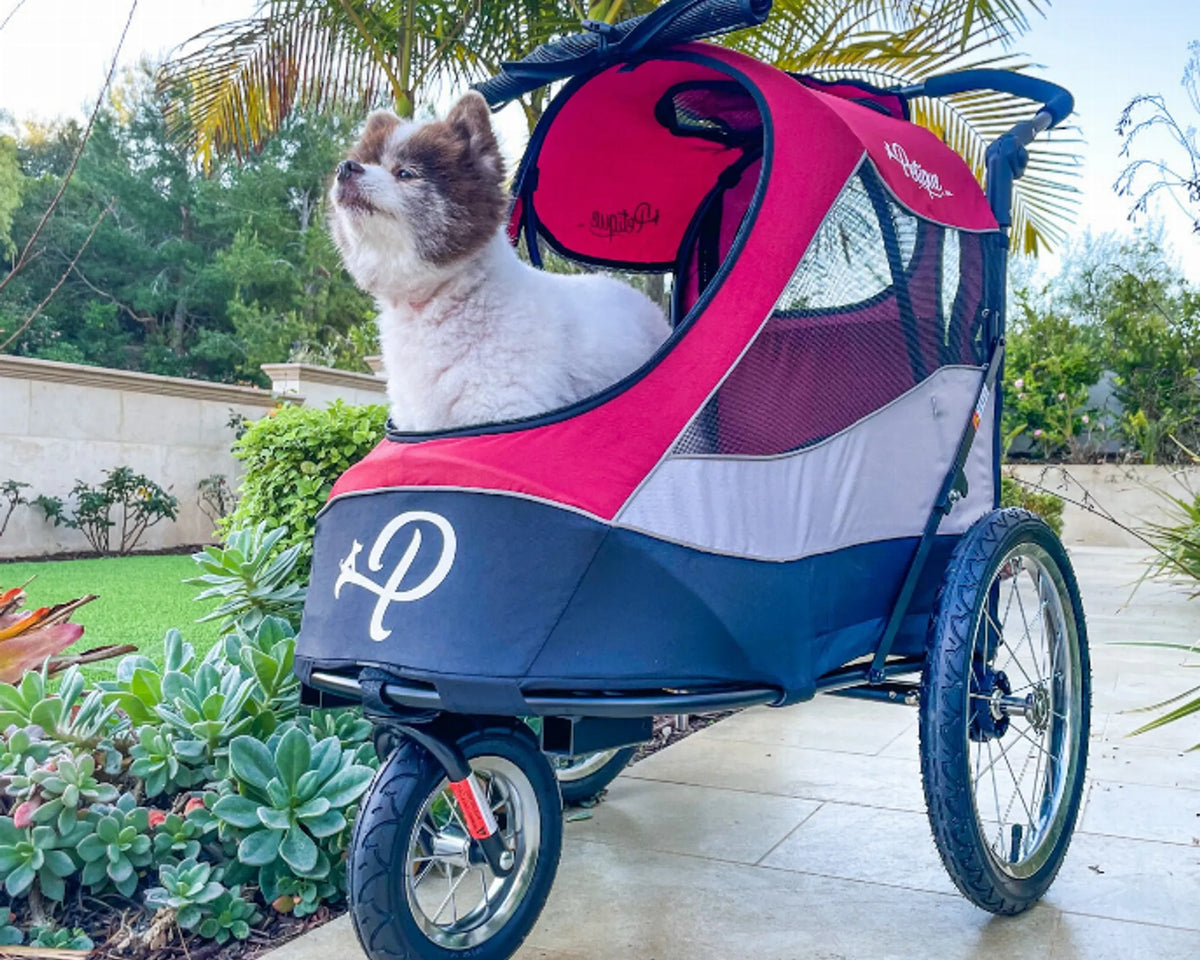 Trailblazer Pet Jogger