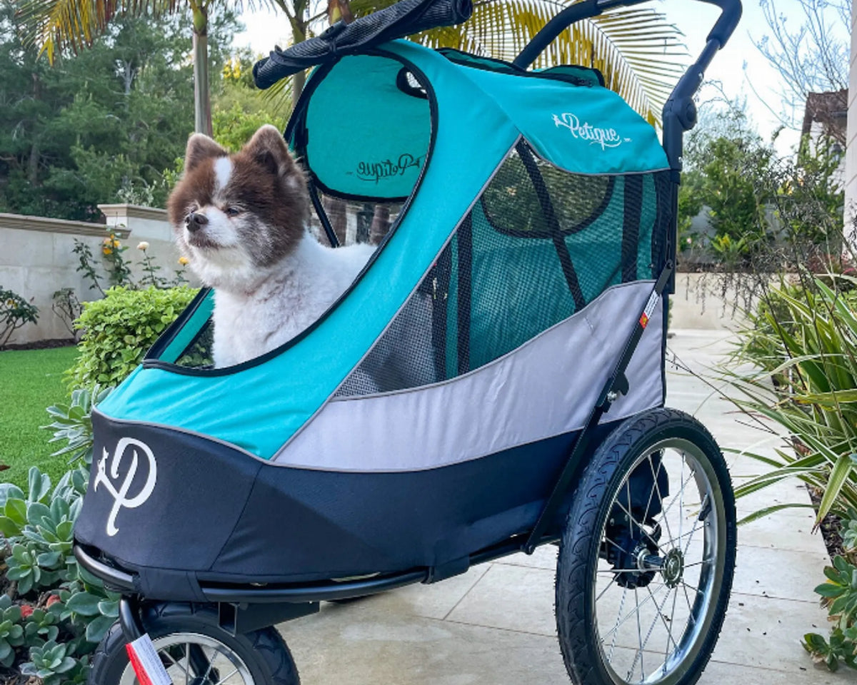 Trailblazer Pet Jogger