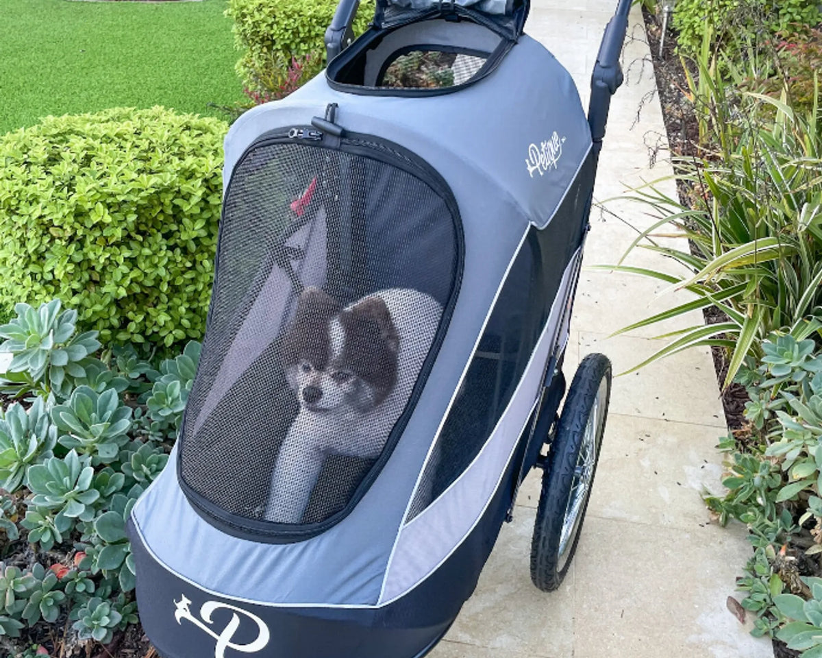 Trailblazer Pet Jogger