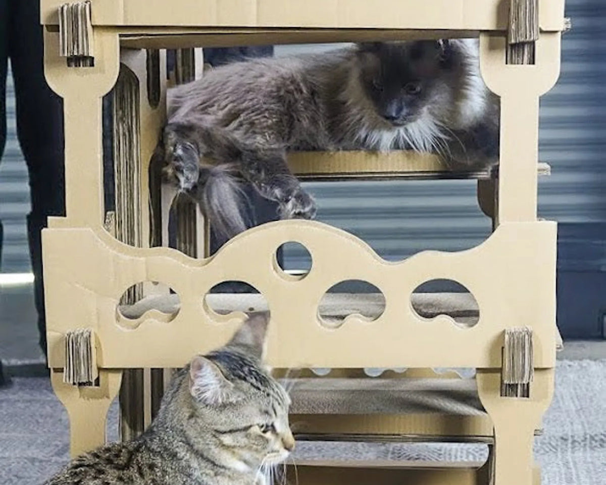Feline Chateau Cat House