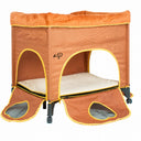  Lion's den