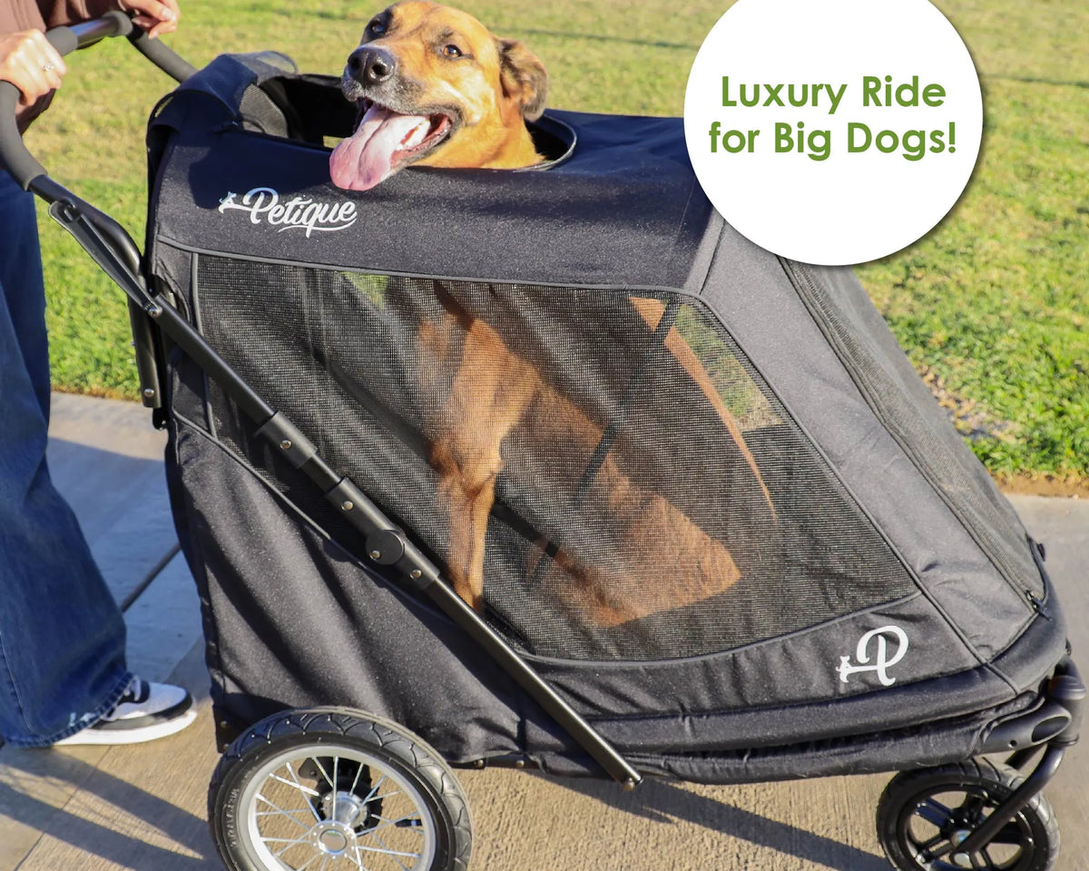 Apollo Elite Pet Stroller w/ Tire Pump