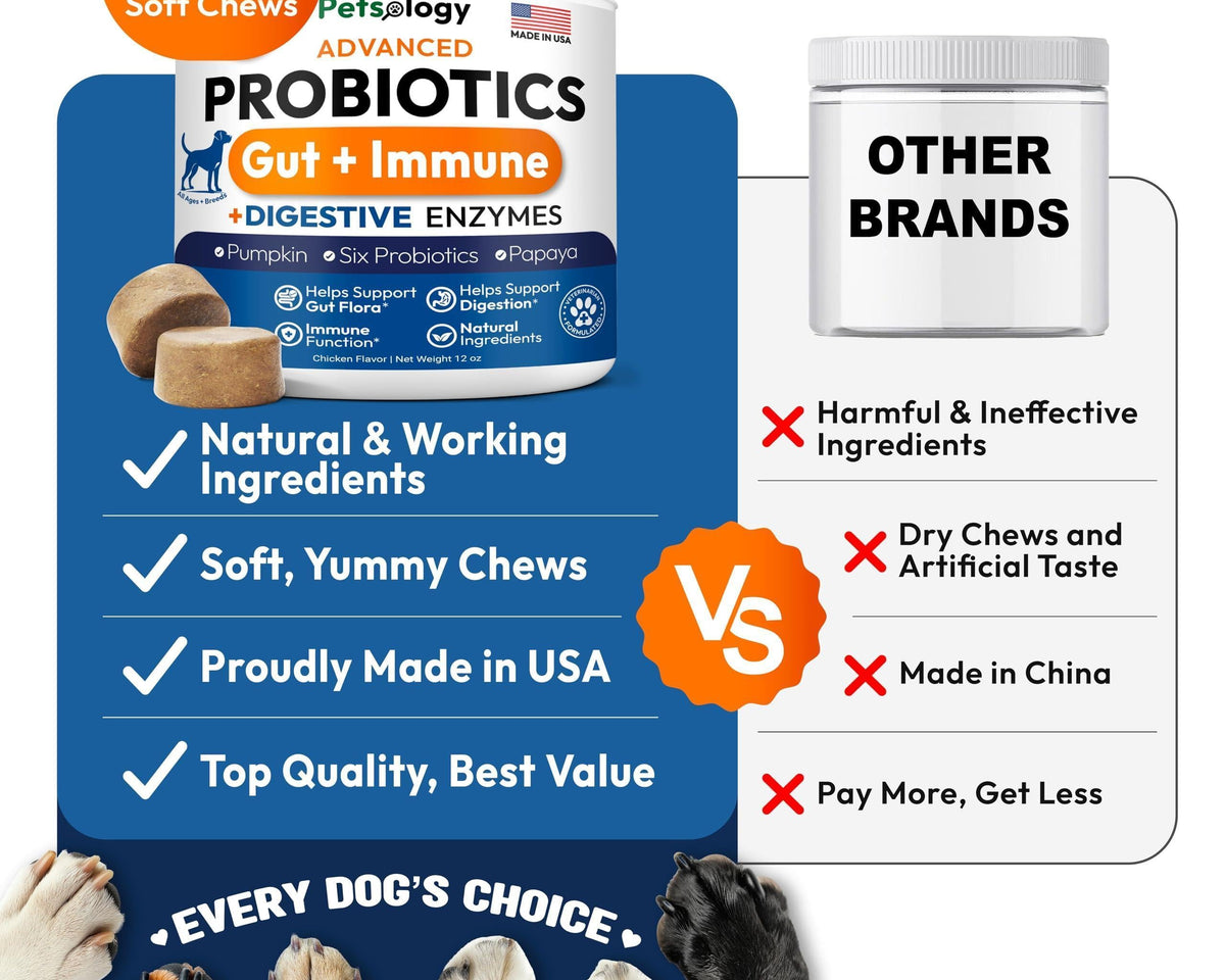 Delicious Probiotic Chews for Dogs - 170 Digestive Enzymes & Prebiotics for Optimal Gut Health!