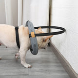Ultimate Pet Safety Harness for Blind Dogs and Cats - Enhanced Protection for Daily Walks