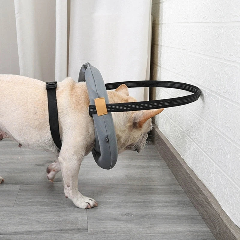 Ultimate Pet Safety Harness for Blind Dogs and Cats - Enhanced Protection for Daily Walks