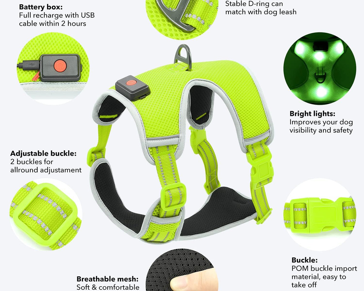 USB Rechargeable LED Dog Harness with Reflective Strips - Adjustable Medium Comfort Fit (Green)