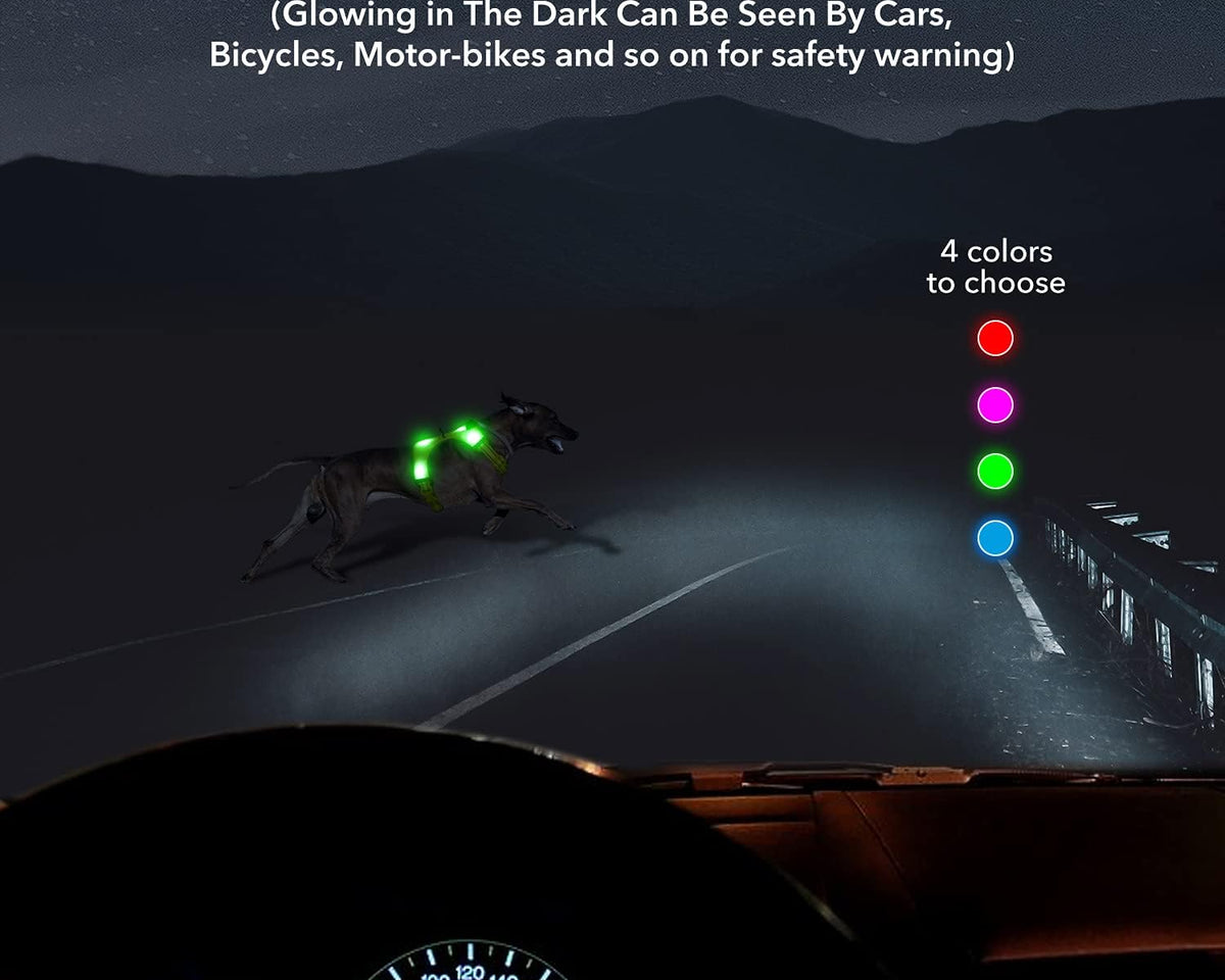 USB Rechargeable LED Dog Harness with Reflective Strips - Adjustable Medium Comfort Fit (Green)