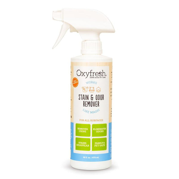Advanced Pet Stain & Odor Remover