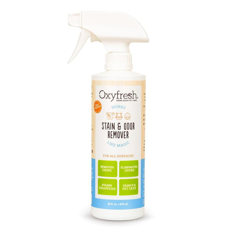 Advanced Pet Stain & Odor Remover