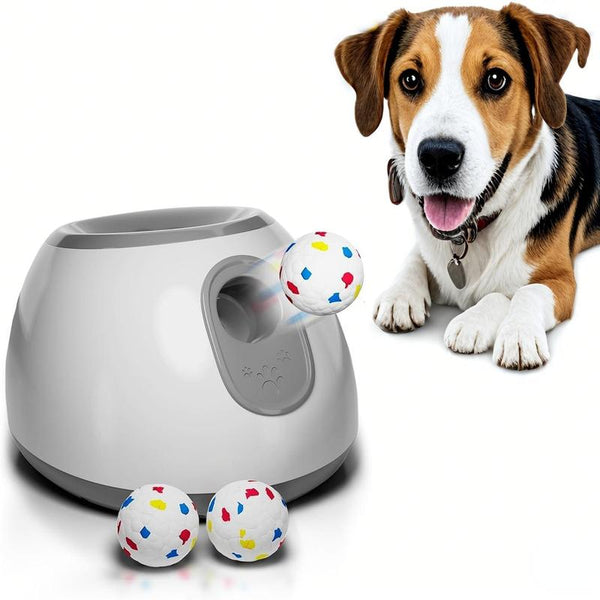 1 Box Interactive Dog Toy with 3 Counts Ball