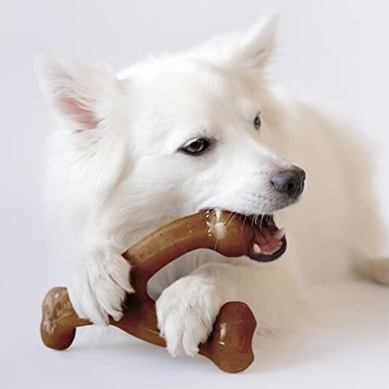 Benebone Bacon Chew Toy for Aggressive Chewers 