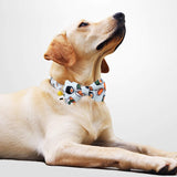 2 Packs Adjustable Dog Collar with Bells and Charm Safety Buckle 
