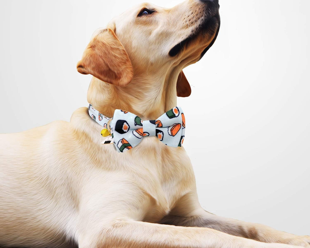 2 Packs Adjustable Dog Collar with Bells and Charm Safety Buckle 