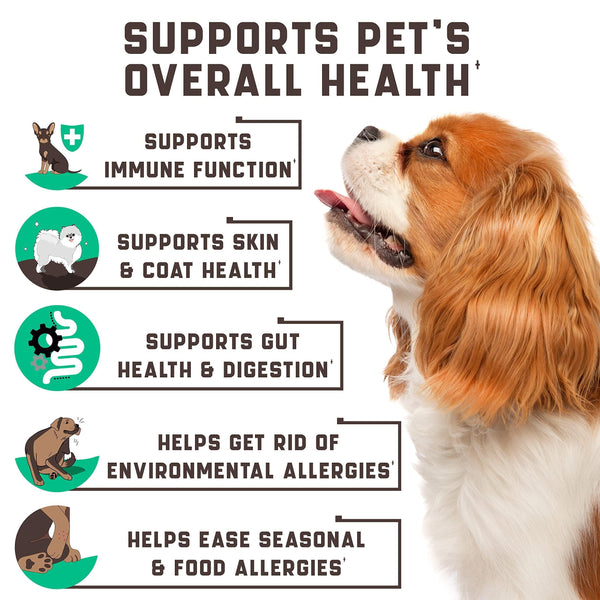 All-Natural Dog Allergy Chews with Omega Probiotics & Apple Cider Vinegar - 180 Chews for Happy, Healthy Pets!