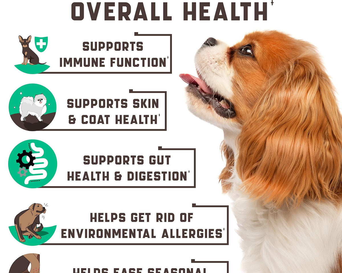 All-Natural Dog Allergy Chews with Omega Probiotics & Apple Cider Vinegar - 180 Chews for Happy, Healthy Pets!