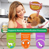 Immune Support Dog Supplement 