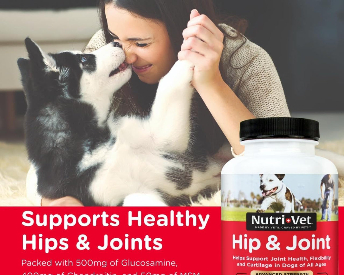 Advanced Strength Hip & Joint Chewable Dog Supplements