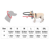 Ultimate Pet Safety Harness for Blind Dogs and Cats - Enhanced Protection for Daily Walks