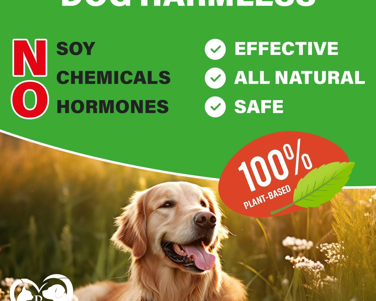Premium Hip & Joint Soft Chews for Senior Dogs - Natural Arthritis Relief with Glucosamine, Chondroitin & Turmeric for Enhanced Mobility