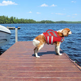 Kuoser High-Visibility Dog Life Jacket - Adjustable, Lightweight, and Reflective for Ultimate Safety and Floatation