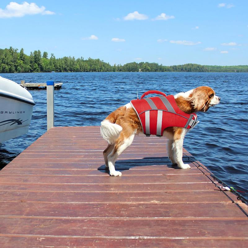 Kuoser High-Visibility Dog Life Jacket - Adjustable, Lightweight, and Reflective for Ultimate Safety and Floatation