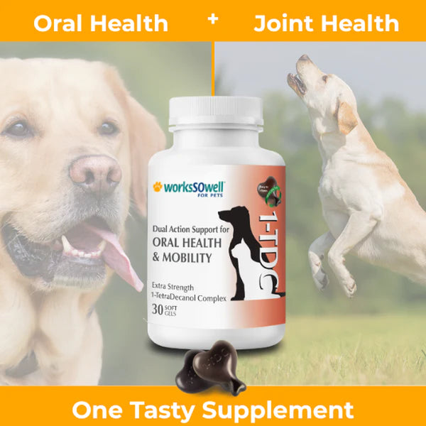1-TDC Oral Health & Joint Mobility Support for Happy, Active Dogs