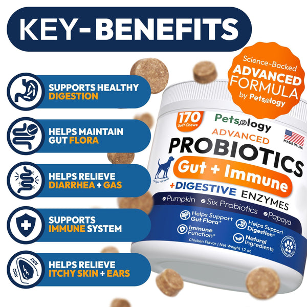 Delicious Probiotic Chews for Dogs - 170 Digestive Enzymes & Prebiotics for Optimal Gut Health!