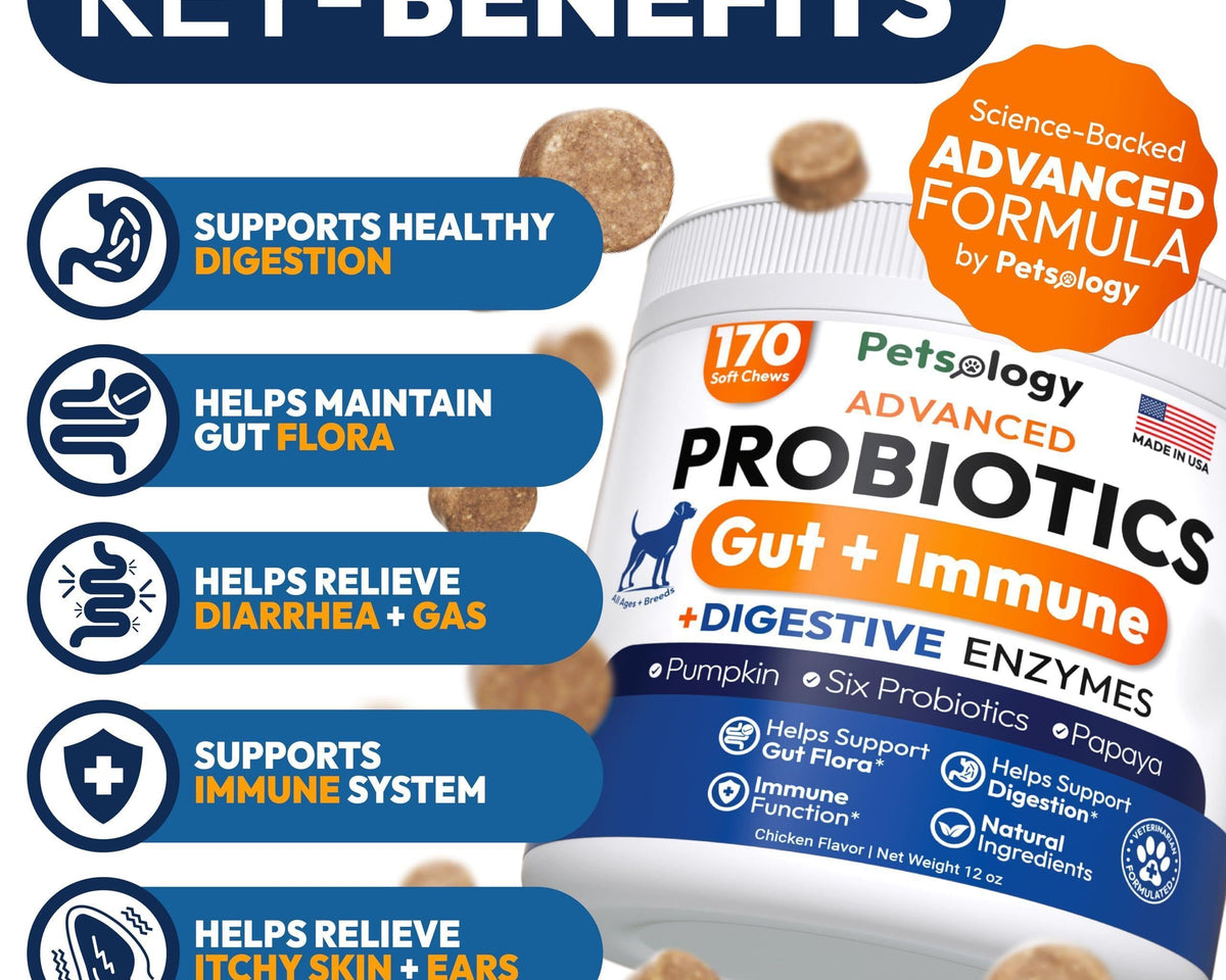 Delicious Probiotic Chews for Dogs - 170 Digestive Enzymes & Prebiotics for Optimal Gut Health!