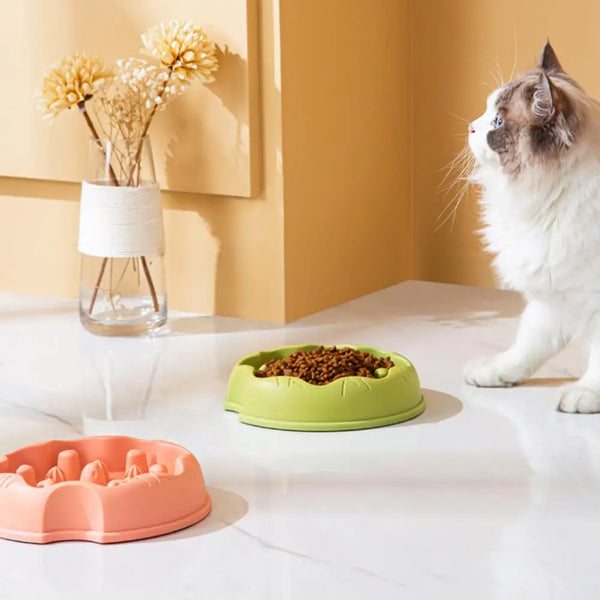 Pet Bowl with Stable Bottom Anti-Overturn