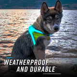 Noxgear Lighthound: Advanced Illuminated and Reflective Dog Harness with Multicolored LED Fiber Optics, USB Rechargeable, Adjustable, Lightweight, and Rainproof Design
