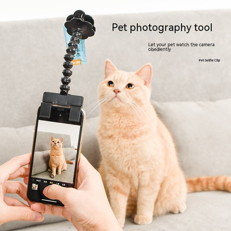 Pet Photography Tool Cat
