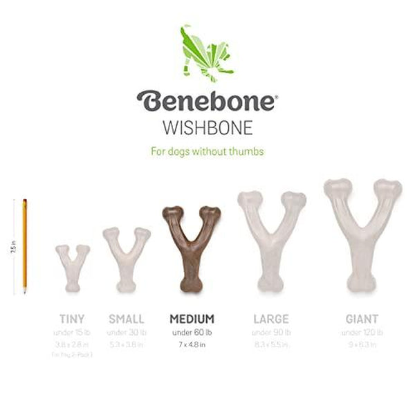 Benebone Bacon Chew Toy for Aggressive Chewers 