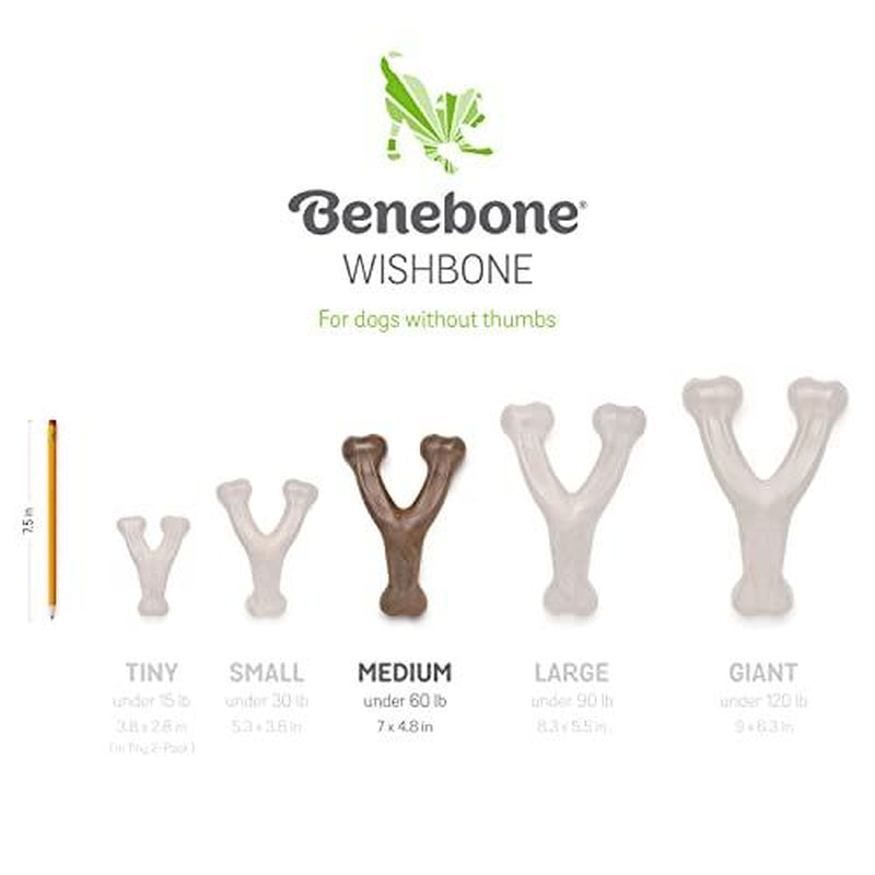 Benebone Bacon Chew Toy for Aggressive Chewers 