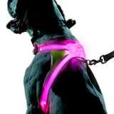 Noxgear Lighthound: Advanced Illuminated and Reflective Dog Harness with Multicolored LED Fiber Optics, USB Rechargeable, Adjustable, Lightweight, and Rainproof Design